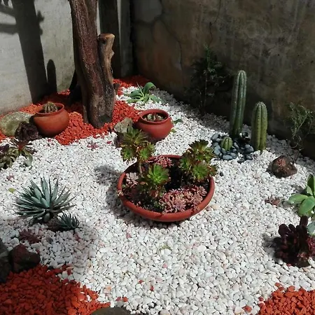 Semesterbostad Crame House *